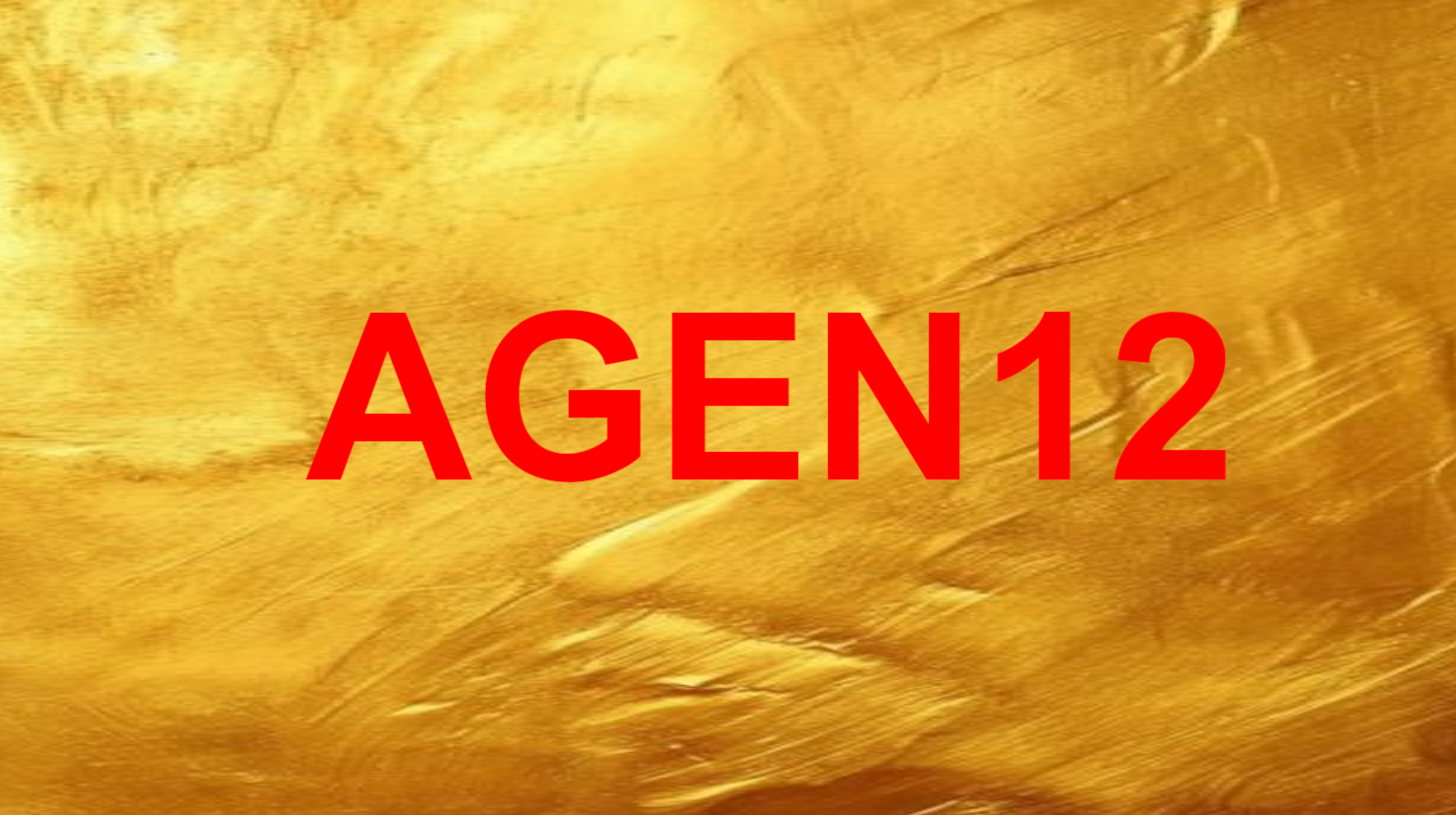 logo AGEN12